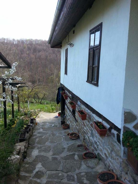 Къща За Гости Ножери Tryavna Exterior foto
